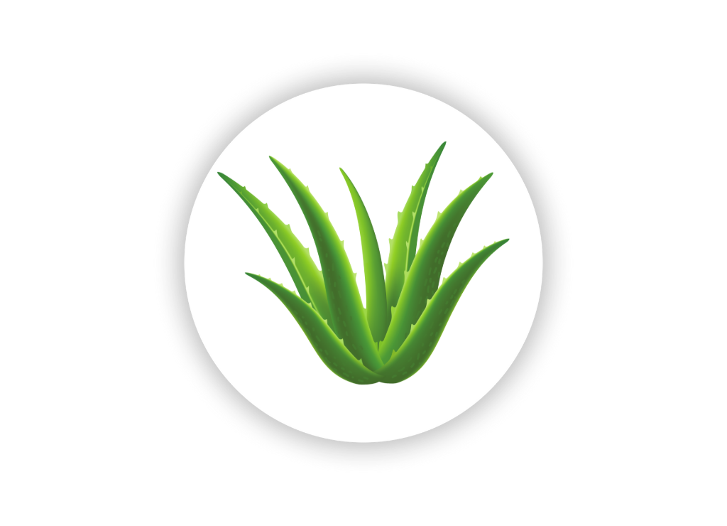 aloe-vera-hemozel