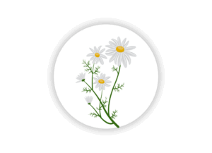 manzanilla-hemozel